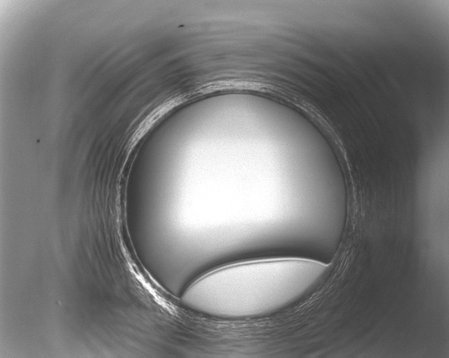 X0000086260898200703291059