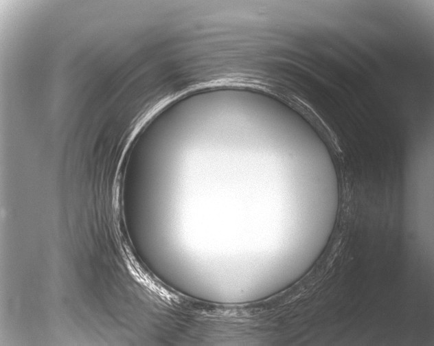 X0000086260900200703291059