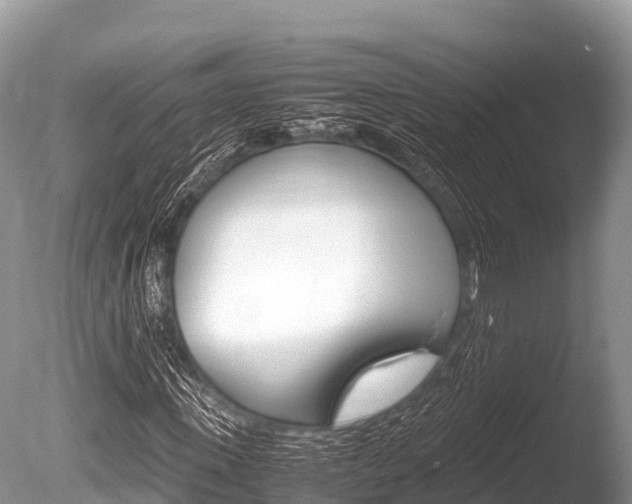 X0000086260915200703291058