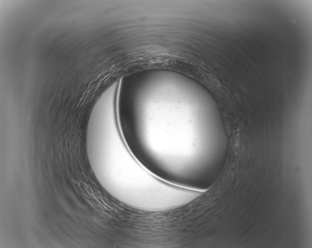 X0000086260916200703291058