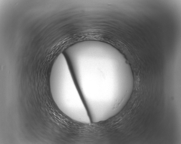 X0000086260917200703291058