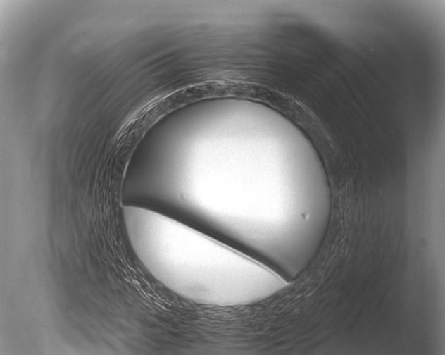 X0000086260919200703291058