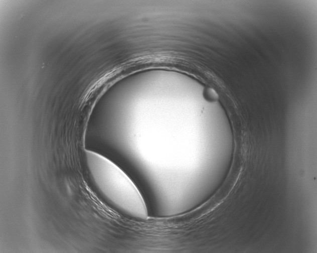 X0000086260922200703291058