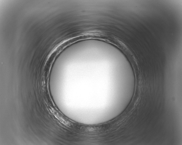 X0000086260923200703291058
