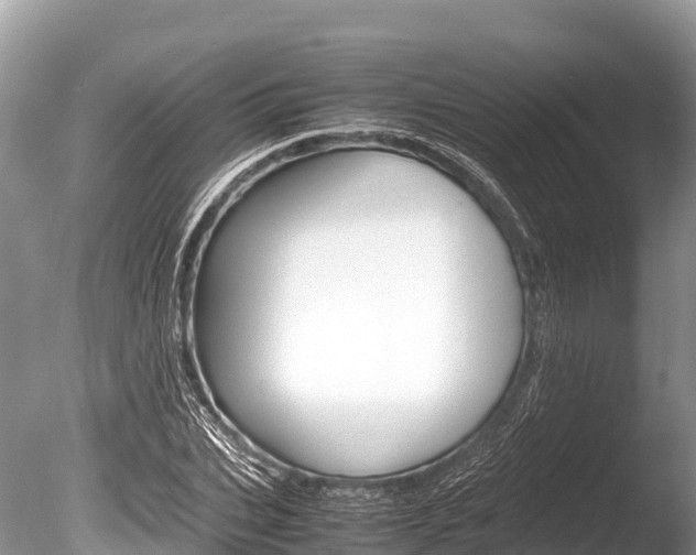 X0000086260927200703291058