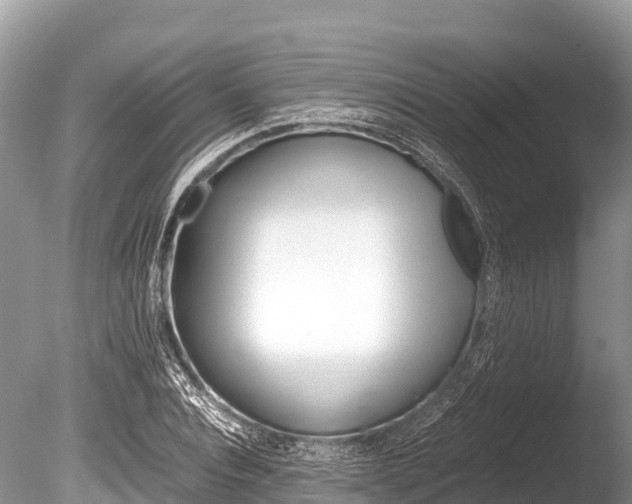 X0000086260928200703291058
