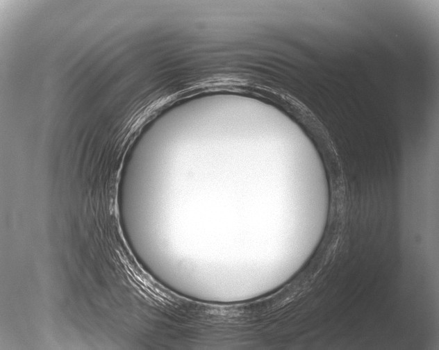 X0000086260929200703291058