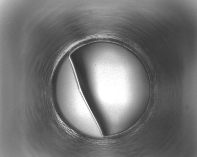 X0000086260934200703291058