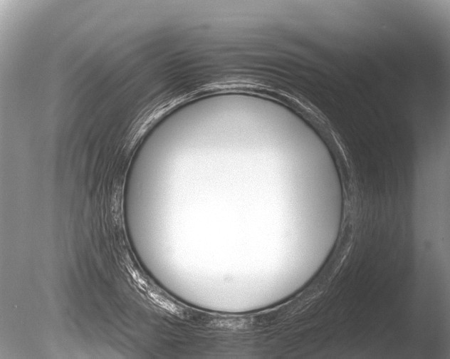 X0000086260937200703291058