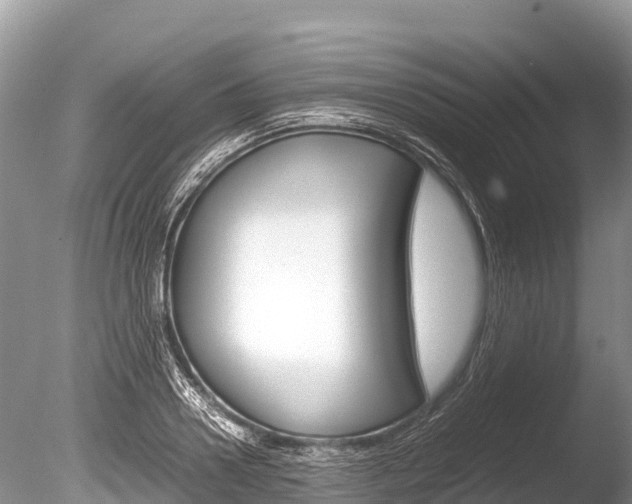 X0000086260938200703291059