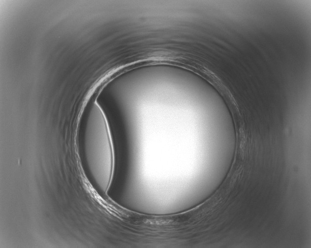 X0000086260939200703291059
