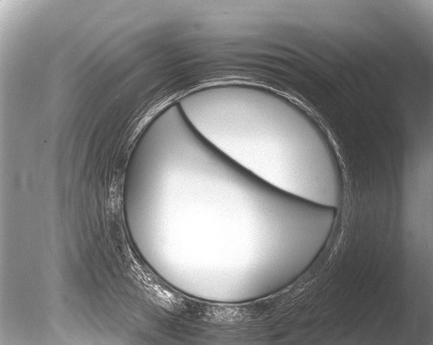 X0000086260945200703291059