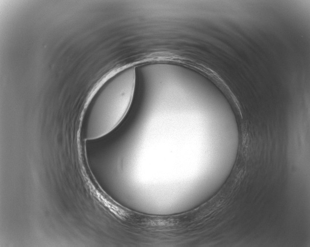 X0000086260947200703291059