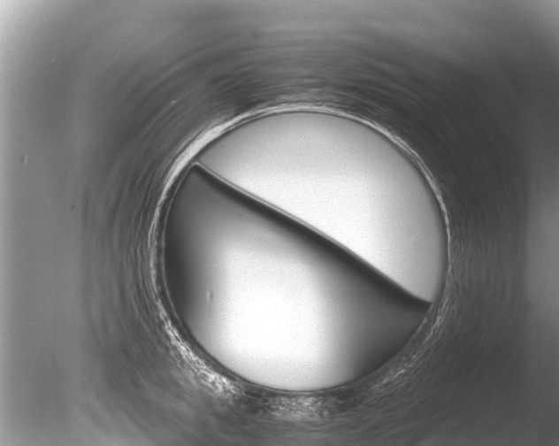 X0000086260949200703291059