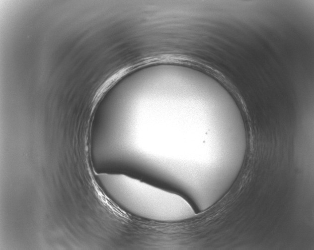 X0000086260954200703291059