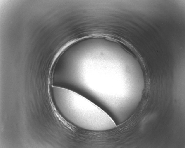 X0000086260955200703291059