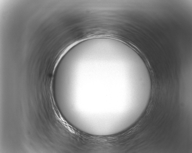 X0000086260956200703291059