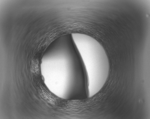 X0000086260963200703291058
