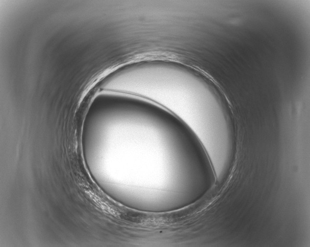X0000086260973200703291058