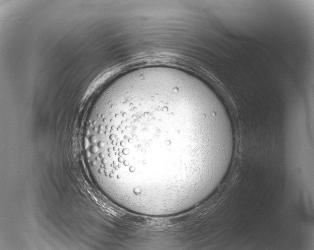 X0000086260978200703291058
