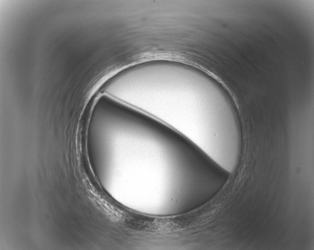 X0000086260983200703291058