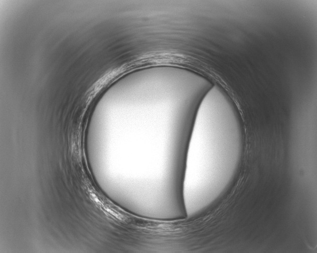 X0000086260986200703291058