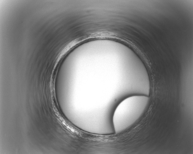 X0000086260990200703291058
