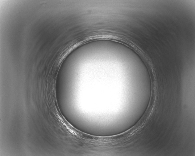 X0000086260993200703291057