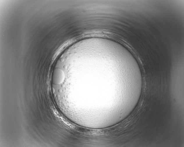 X0000086260994200703291057