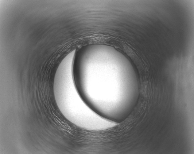 X0000086261010200703291056