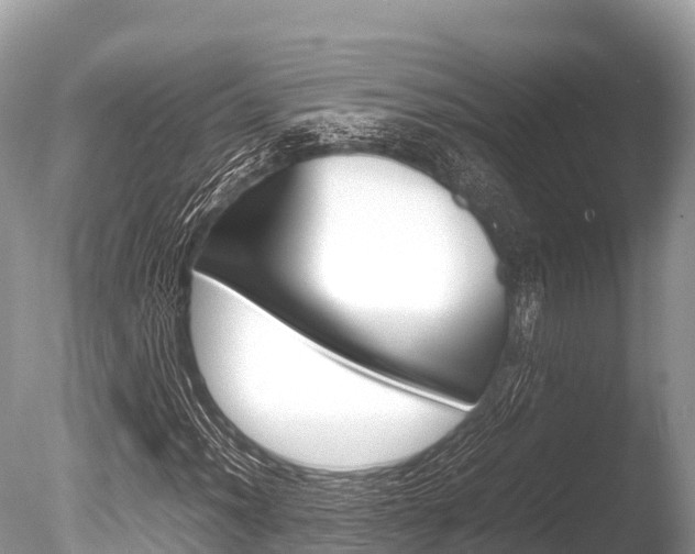 X0000086261012200703291056