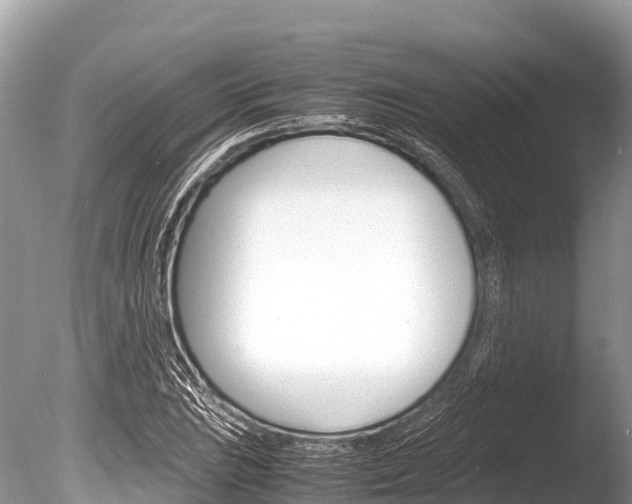 X0000086261023200703291057
