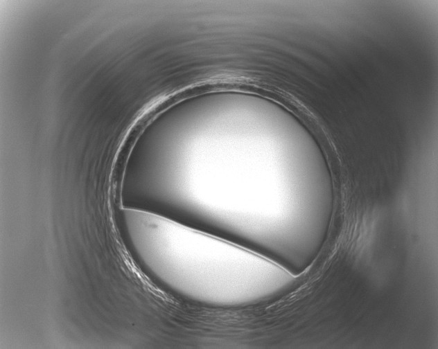 X0000086261029200703291057