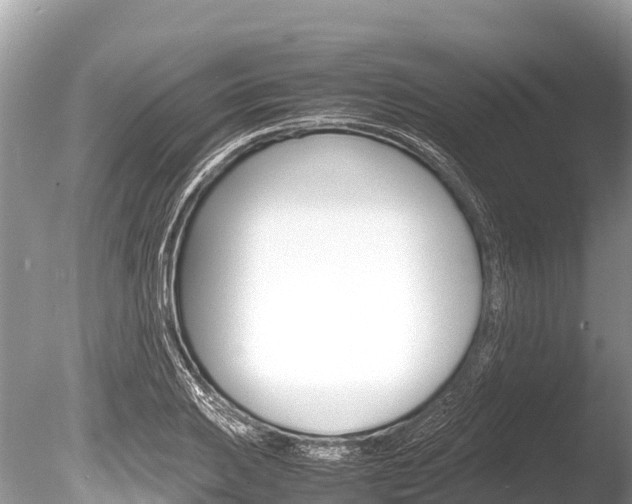 X0000086261031200703291057