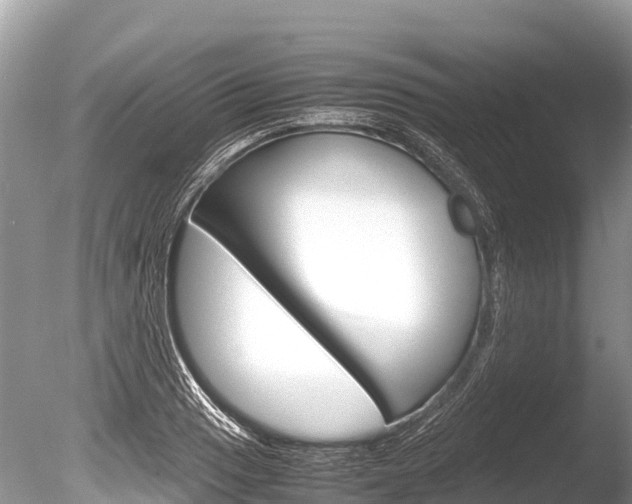 X0000086261033200703291057