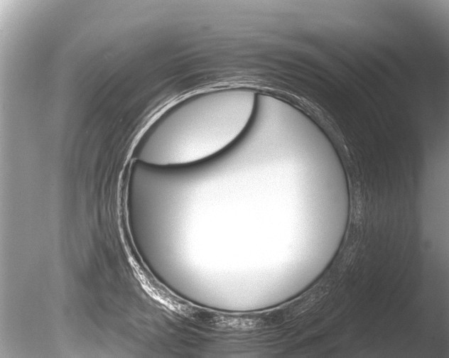 X0000086261039200703291057