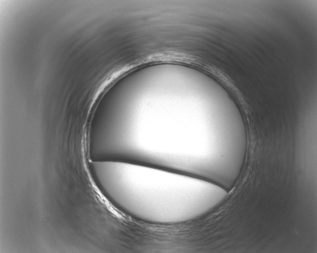 X0000086261040200703291057
