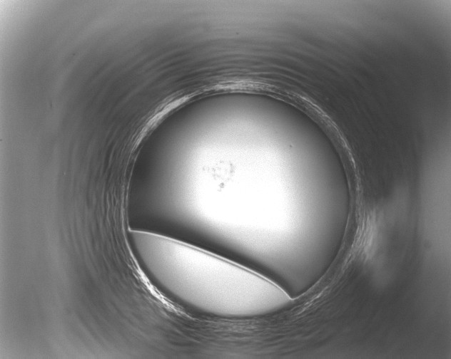 X0000086261041200703291057