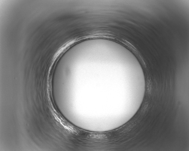 X0000086261043200703291057