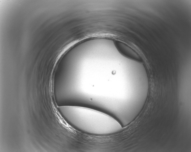 X0000086261044200703291057