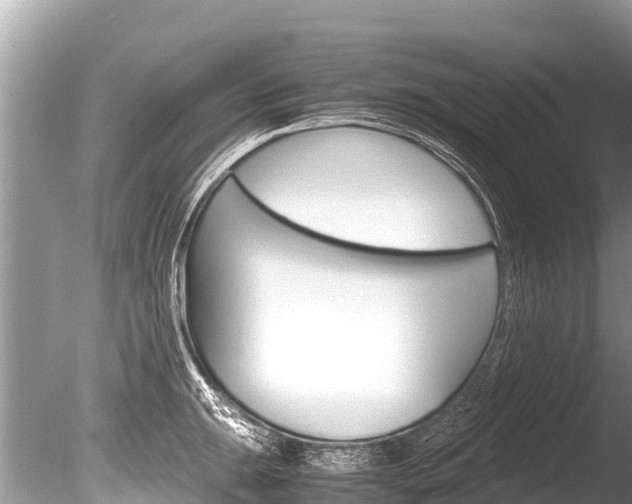 X0000086261047200703291057