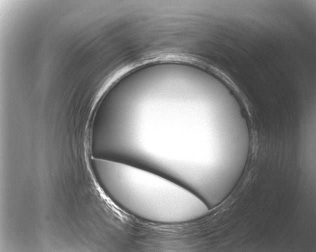 X0000086261048200703291057