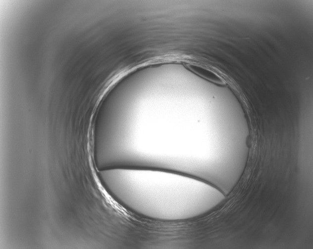 X0000086261055200703291057