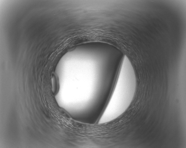 X0000086261057200703291056