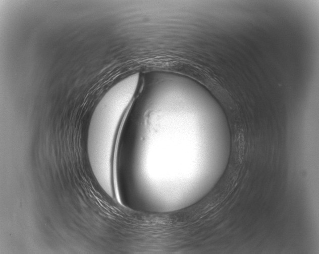X0000086261058200703291056