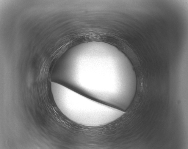 X0000086261060200703291056