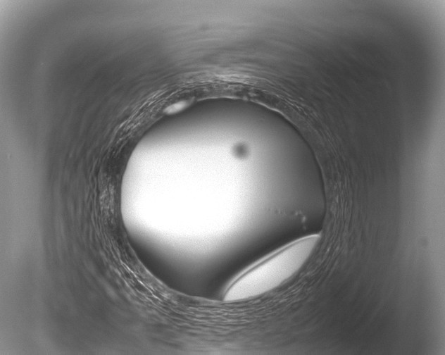 X0000086261061200703291056