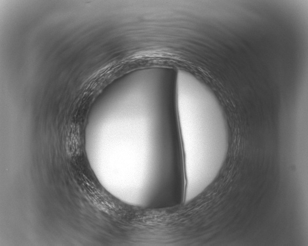 X0000086261062200703291056