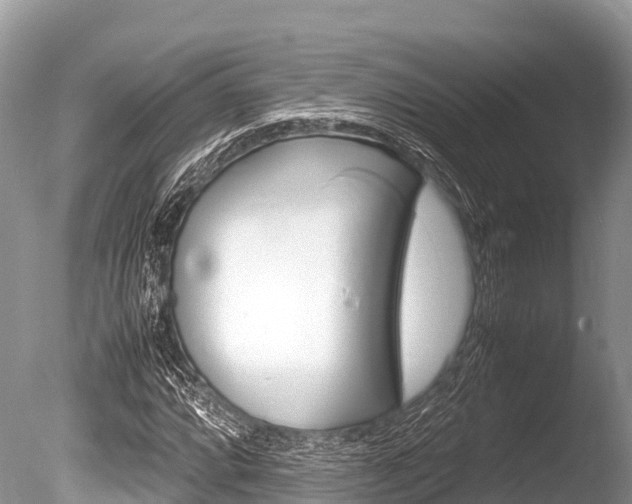 X0000086261064200703291056