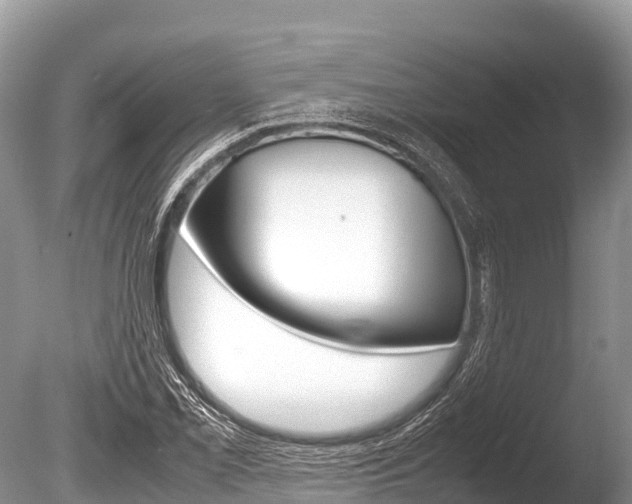 X0000086261069200703291056